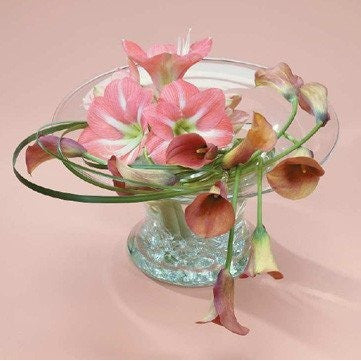 Elegant and Clasy Pink Amaryllis and Callas Flowers Tribute - Flowers by Pouparina
