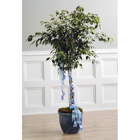 Green Planter with Blooming Plants