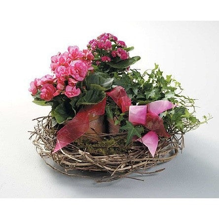 Green Planter with Blooming Plants