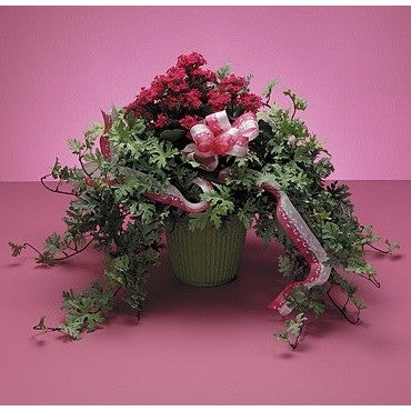 Green Planter with Blooming Plants