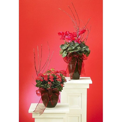Green Planter with Blooming Plants
