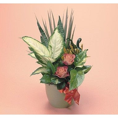 Green Planter with Blooming Plants
