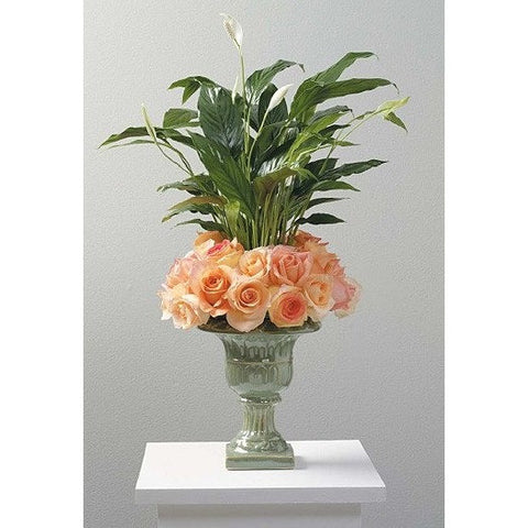 Green Planter with Blooming Plants