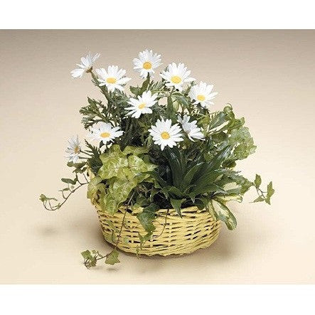 Green Planter with Blooming Plants