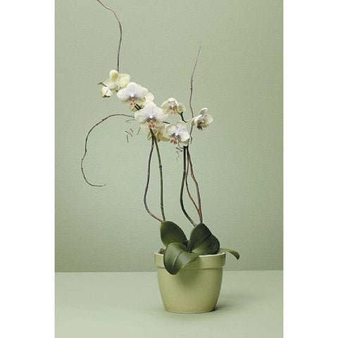 Green Planter with Blooming Plants