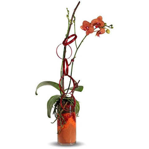 Green Planter with Blooming Plants